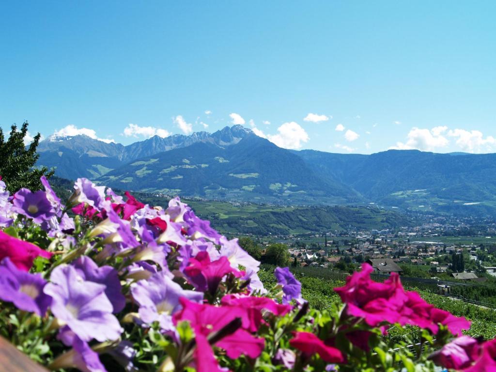 Pension Alpenblick Lagundo Kültér fotó